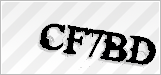 CAPTCHA security code