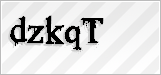 CAPTCHA security code