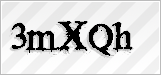 CAPTCHA security code