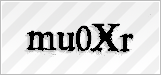 CAPTCHA security code