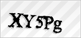CAPTCHA security code