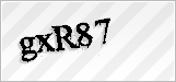 CAPTCHA security code