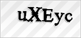 CAPTCHA security code