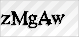 CAPTCHA security code