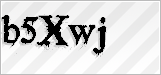 CAPTCHA security code