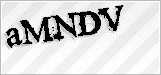 CAPTCHA security code