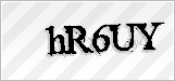 CAPTCHA security code