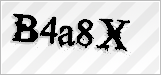 CAPTCHA security code