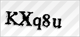 CAPTCHA security code