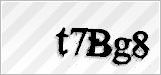 CAPTCHA security code