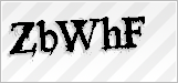CAPTCHA security code