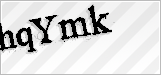 CAPTCHA security code