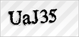 CAPTCHA security code