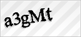CAPTCHA security code