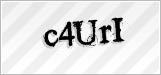 CAPTCHA security code