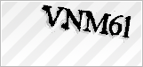 CAPTCHA security code