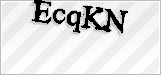 CAPTCHA security code