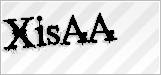CAPTCHA security code