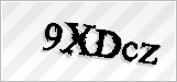 CAPTCHA security code