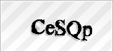 CAPTCHA security code