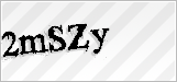 CAPTCHA security code
