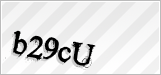 CAPTCHA security code