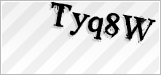 CAPTCHA security code