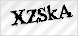 CAPTCHA security code