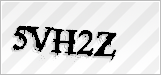 CAPTCHA security code