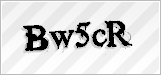 CAPTCHA security code