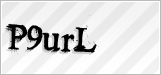 CAPTCHA security code