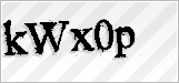 CAPTCHA security code
