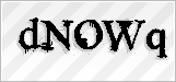 CAPTCHA security code
