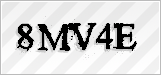 CAPTCHA security code