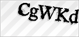 CAPTCHA security code