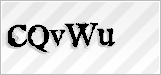 CAPTCHA security code