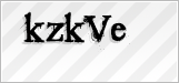 CAPTCHA security code