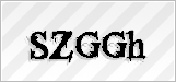 CAPTCHA security code