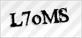 CAPTCHA security code
