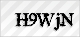 CAPTCHA security code