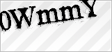 CAPTCHA security code