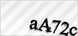CAPTCHA security code