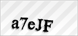 CAPTCHA security code