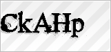 CAPTCHA security code