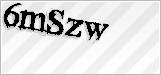 CAPTCHA security code
