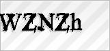 CAPTCHA security code
