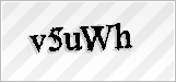 CAPTCHA security code