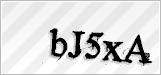 CAPTCHA security code