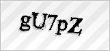 CAPTCHA security code
