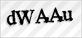 CAPTCHA security code